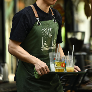 Aprons ( Waist)_ (1)